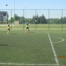 pino 14